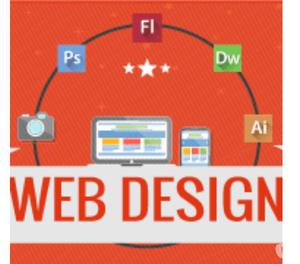 website designing company in delhi ncr New Delhi