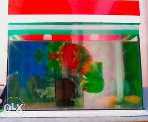 1ft aquarium with filter an pump.