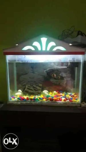 1month old fish tank..new condition