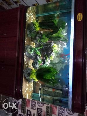 300ltr aquarium with all accessories and fish