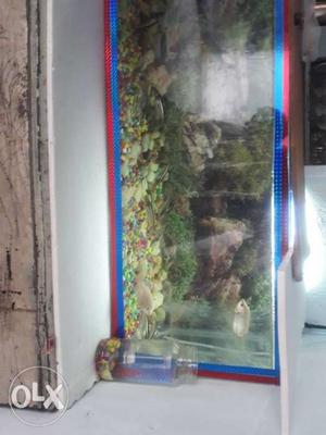30"in aquarium with full set