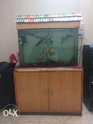 3ft by 2ft Fish tank with wooden shelve/unit