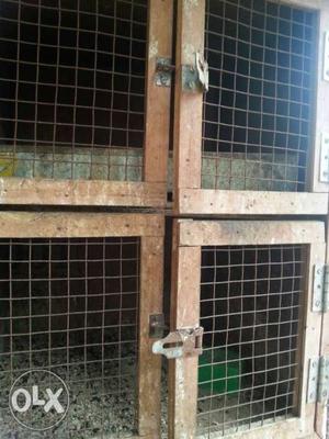 4 birds box for sale