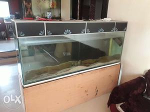 6 feet aquarium sale