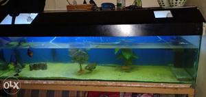 6ft * 2ft fish tank with top cover and power