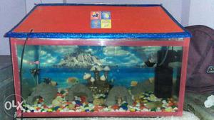 Aquarium 2ft/1ft/1ft with filter,stone,tunnel,