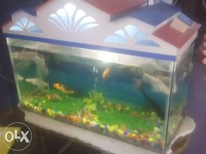 Aquarium fish tank good condition. with out fish
