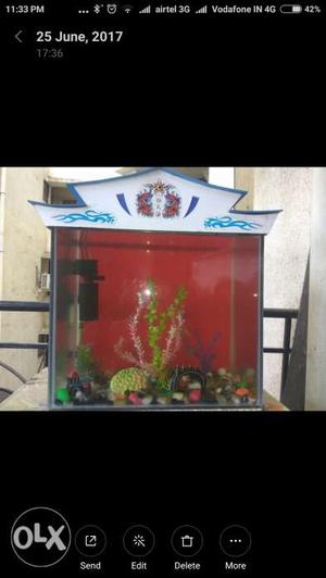 Aquarium for sale with entire set up like