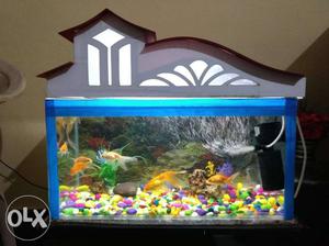 Aquarium with Gold Fishes