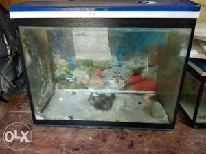 Aquarium with cover 2by 2.5 with power filter