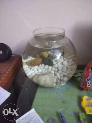 Big fish bowl with pebbles..