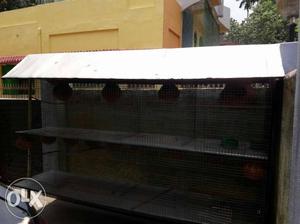 Bird Cage Unused Condition Designed For Pet Birds