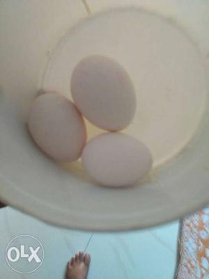 Desi eggs available in lot