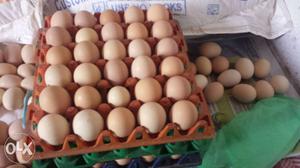 Eggs