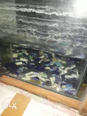 Fish Aqerium with 6 fishes.stones.one blue tube