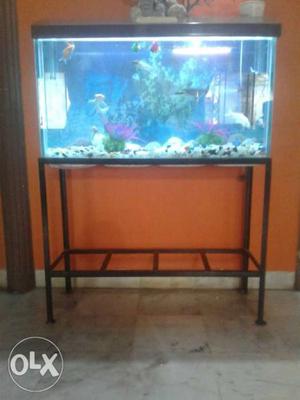 Fish Aquarium With Stand,fish,light And All