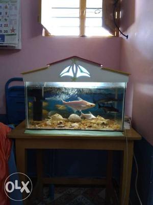 Fish Tank, Tank Cover,Stone and air & Filter Motor