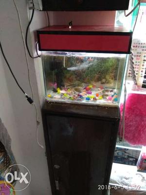 Fish Tank with Filter and 10 fishes