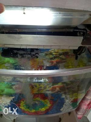 Fish aquarium in good condition with all the
