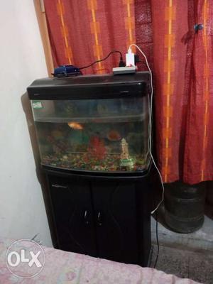 Fish aquarium with wodden traolly