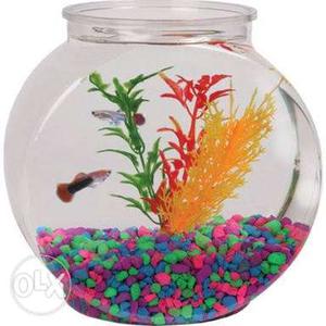 Fish bowl with gravels, airpump and fish food