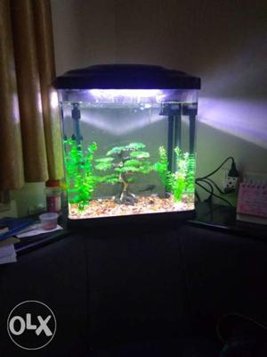 Fish tank with item's available in the