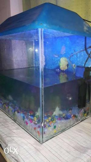 Fish tank without fish.. including water motor.