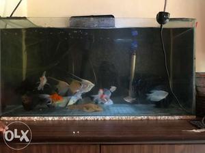 Fishtank for sale. Urgently. negotiable