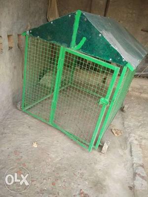 Good condition for dogs pizra