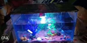 Home made aquarium with.2 motor