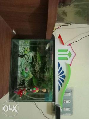 I want to sell my 1feet aquarium with 2angel fish