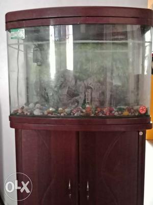 Imported fish aquarium with shelves and all the