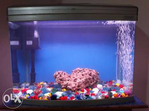 Imported fish tank sale.
