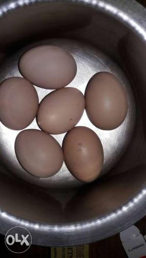 Kadaknath hen eggs
