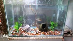Onyl tank for selling