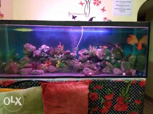 Rectangular fish tank.
