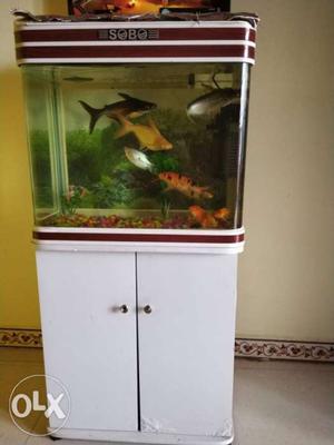 Red And White Framed Clear Fish Tank