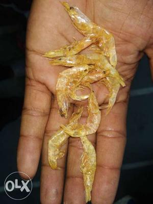 Shrimps fish food and dry fish all fish,s