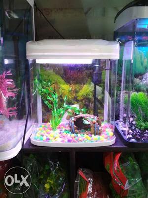 Small size 12" aquarium with fish and all