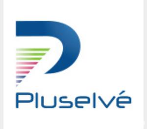 Web Design Company | Web Design Services | Pluselve