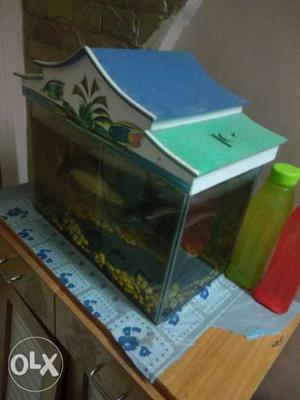 With 3 fishes And with all stones