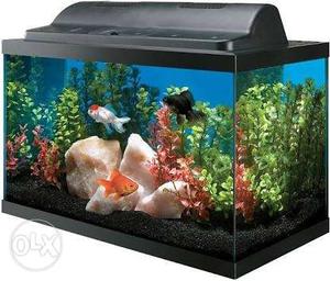 o Fish tank & Pet