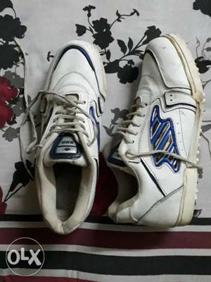 A pair Cricket shoes with nails