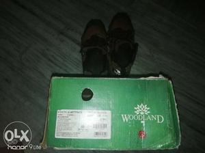 Pair Of Black Woodland Sneakers With Box