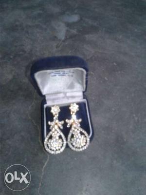 Pair Of Gold-colored Earrings With Case
