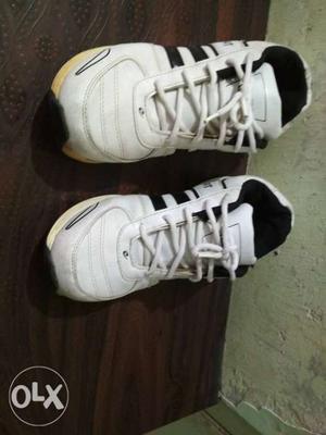 Sport shoes beats 6number only 4month use