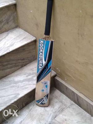Blue, Black, And Brown Cricket Bat