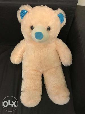 Kids Teddy bear for sale (Soft toy)