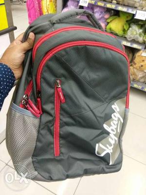 New Gray And Red Skybags Backpack