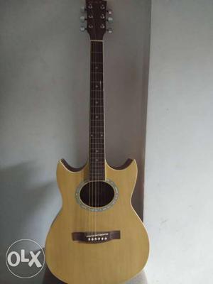 Rat Company Guitar in best condition both
